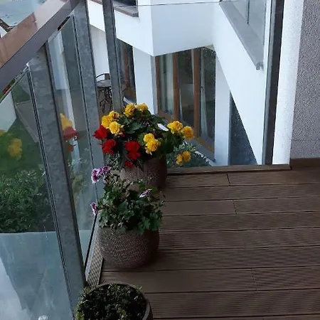 Apartment Olimpic Park *