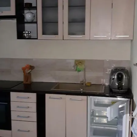 Apartment Olimpic Park *
